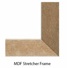 Load image into Gallery viewer, Wrapped Canvas wall art